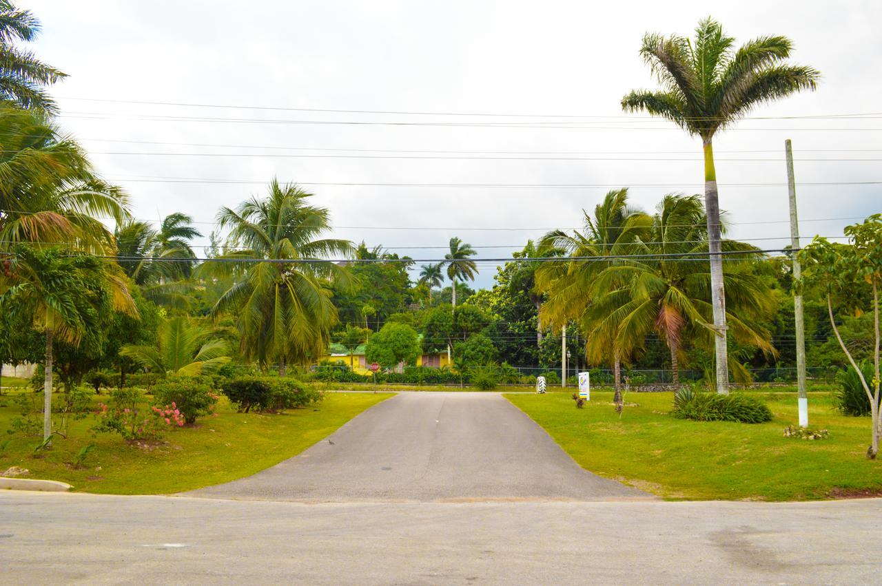 Sahara Dela Mer Inn Montego Bay Exteriér fotografie